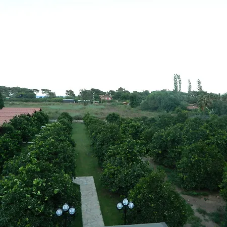 Merhaba